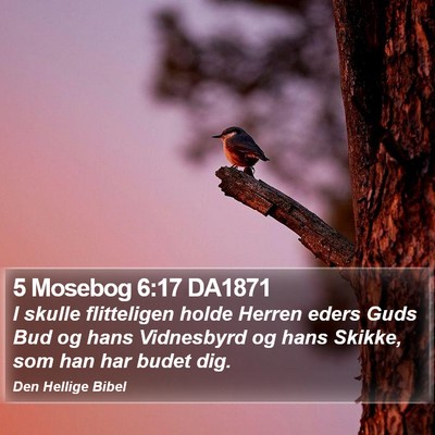 5 Mosebog 6:17 DA1871 Bible Verse Image