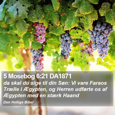 5 Mosebog 6:21 DA1871 Bible Verse Image