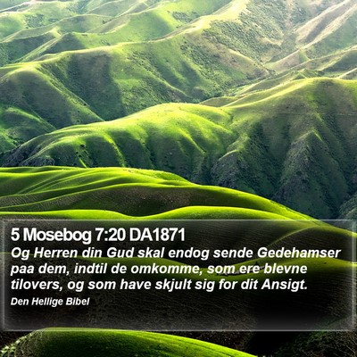 5 Mosebog 7:20 DA1871 Bible Verse Image