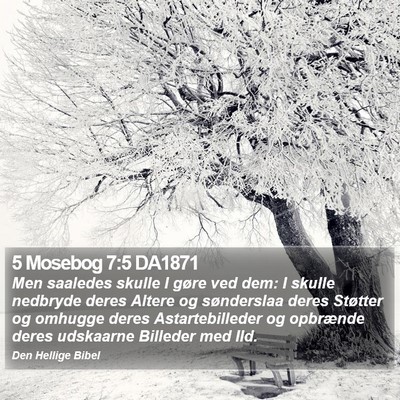5 Mosebog 7:5 DA1871 Bible Verse Image