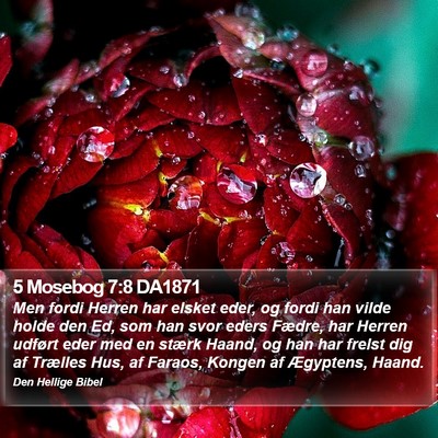 5 Mosebog 7:8 DA1871 Bible Verse Image