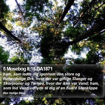 5 Mosebog 8:15 DA1871 Bible Verse Image