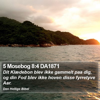 5 Mosebog 8:4 DA1871 Bible Verse Image
