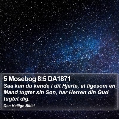 5 Mosebog 8:5 DA1871 Bible Verse Image