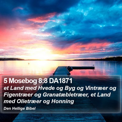 5 Mosebog 8:8 DA1871 Bible Verse Image