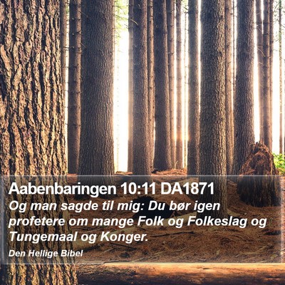 Aabenbaringen 10:11 DA1871 Bible Verse Image