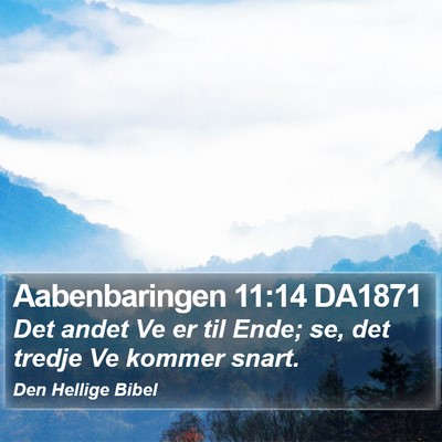 Aabenbaringen 11:14 DA1871 Bible Verse Image