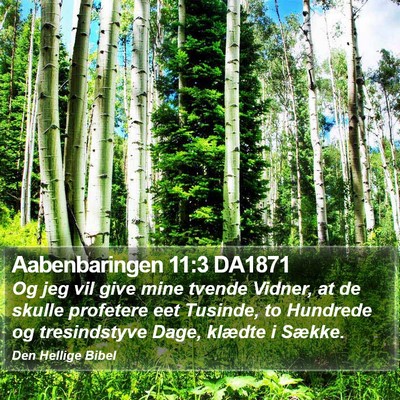 Aabenbaringen 11:3 DA1871 Bible Verse Image