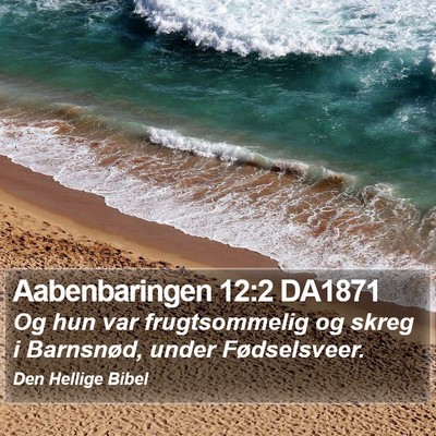 Aabenbaringen 12:2 DA1871 Bible Verse Image