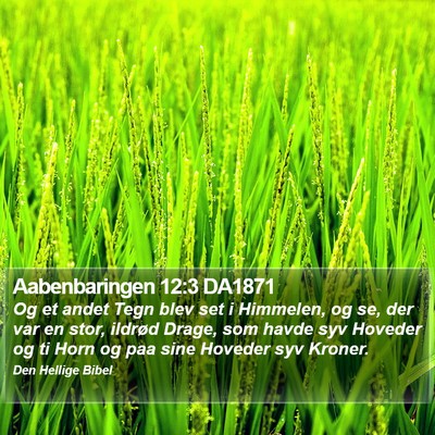 Aabenbaringen 12:3 DA1871 Bible Verse Image