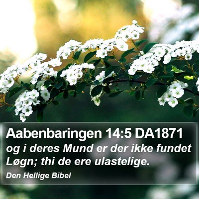 Aabenbaringen 14:5 DA1871 Bible Verse Image