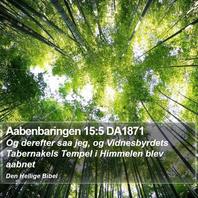 Aabenbaringen 15:5 DA1871 Bible Verse Image
