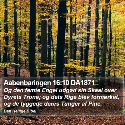 Aabenbaringen 16:10 DA1871 Bible Verse Image
