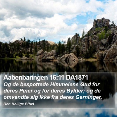Aabenbaringen 16:11 DA1871 Bible Verse Image