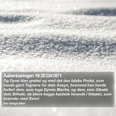 Aabenbaringen 19:20 DA1871 Bible Verse Image