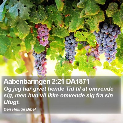 Aabenbaringen 2:21 DA1871 Bible Verse Image