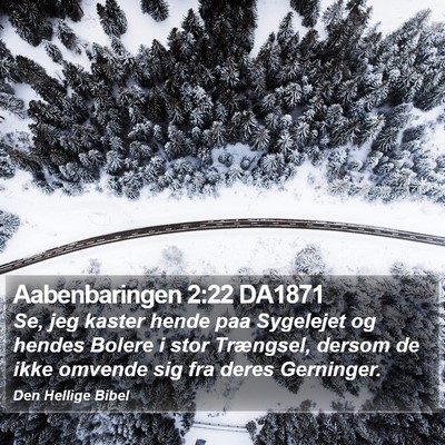Aabenbaringen 2:22 DA1871 Bible Verse Image