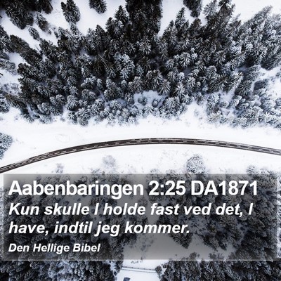 Aabenbaringen 2:25 DA1871 Bible Verse Image