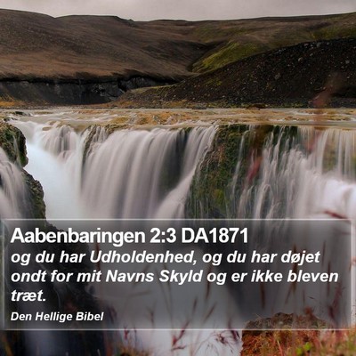 Aabenbaringen 2:3 DA1871 Bible Verse Image