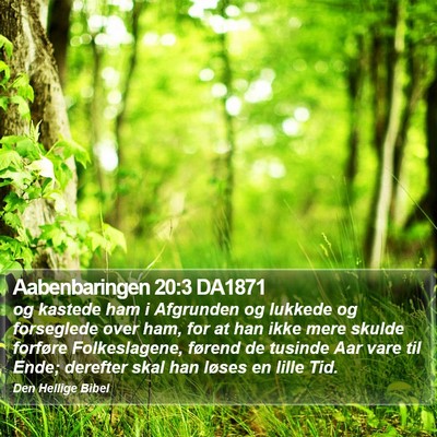 Aabenbaringen 20:3 DA1871 Bible Verse Image