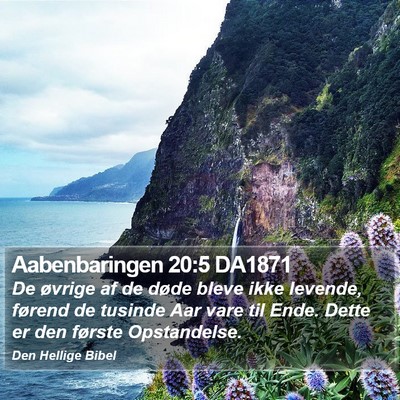 Aabenbaringen 20:5 DA1871 Bible Verse Image