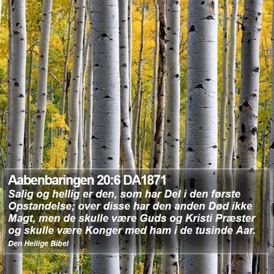 Aabenbaringen 20:6 DA1871 Bible Verse Image