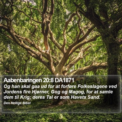 Aabenbaringen 20:8 DA1871 Bible Verse Image
