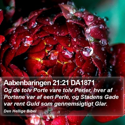 Aabenbaringen 21:21 DA1871 Bible Verse Image