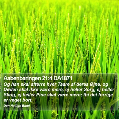 Aabenbaringen 21:4 DA1871 Bible Verse Image