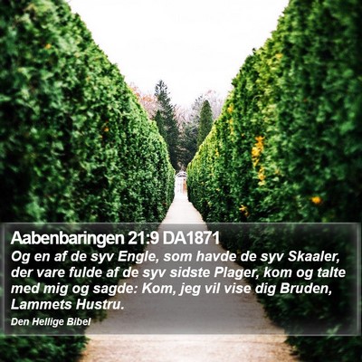 Aabenbaringen 21:9 DA1871 Bible Verse Image