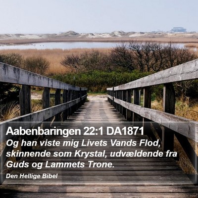 Aabenbaringen 22:1 DA1871 Bible Verse Image