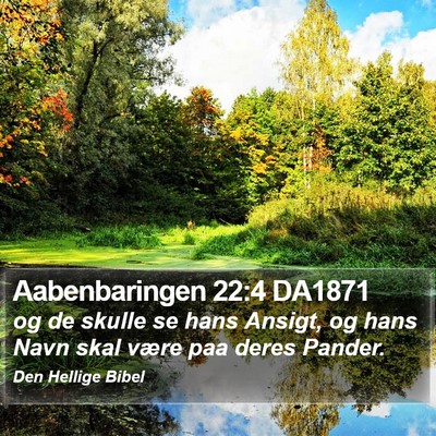 Aabenbaringen 22:4 DA1871 Bible Verse Image
