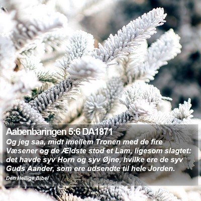 Aabenbaringen 5:6 DA1871 Bible Verse Image