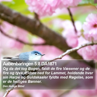Aabenbaringen 5:8 DA1871 Bible Verse Image