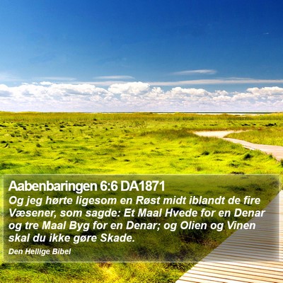 Aabenbaringen 6:6 DA1871 Bible Verse Image