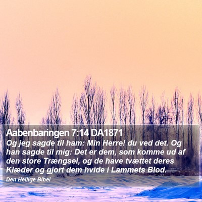 Aabenbaringen 7:14 DA1871 Bible Verse Image