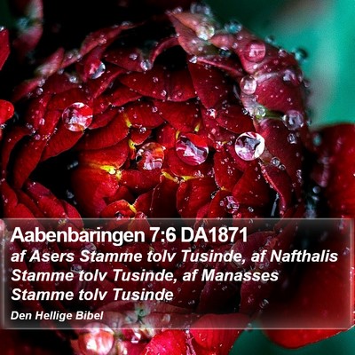 Aabenbaringen 7:6 DA1871 Bible Verse Image