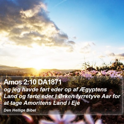Amos 2:10 DA1871 Bible Verse Image