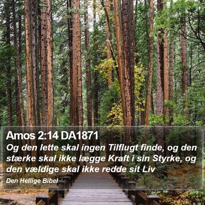 Amos 2:14 DA1871 Bible Verse Image