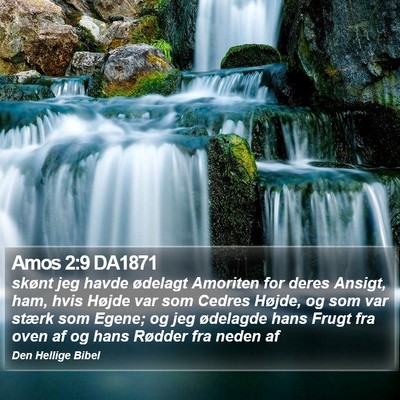 Amos 2:9 DA1871 Bible Verse Image