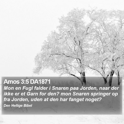 Amos 3:5 DA1871 Bible Verse Image