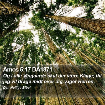 Amos 5:17 DA1871 Bible Verse Image