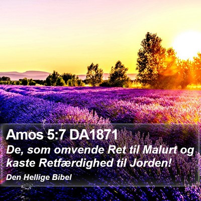 Amos 5:7 DA1871 Bible Verse Image