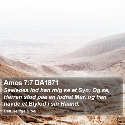 Amos 7:7 DA1871 Bible Verse Image