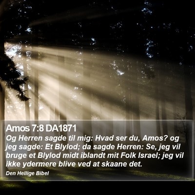 Amos 7:8 DA1871 Bible Verse Image