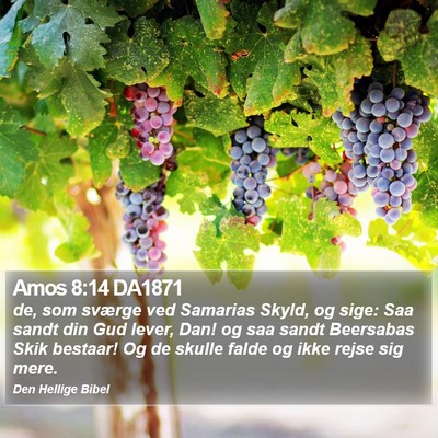 Amos 8:14 DA1871 Bible Verse Image