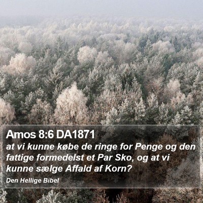 Amos 8:6 DA1871 Bible Verse Image