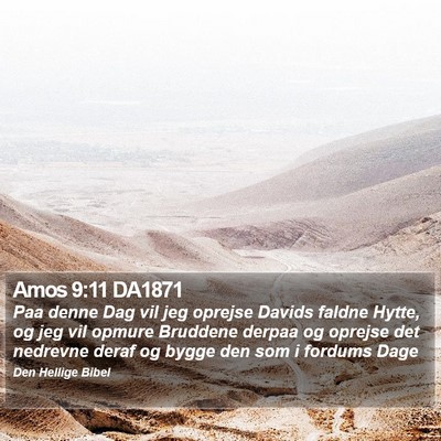 Amos 9:11 DA1871 Bible Verse Image