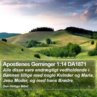 Apostlenes Gerninger 1:14 DA1871 Bible Verse Image