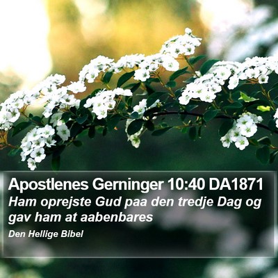 Apostlenes Gerninger 10:40 DA1871 Bible Verse Image